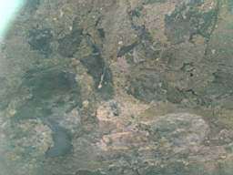 acastle 166270.jpg